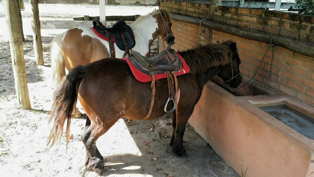 Pousada Suites Águas de São Pedro Eksteriør bilde